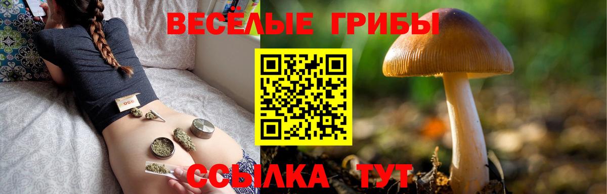 Псилоцибиновые грибы прущие грибы Улан-Удэ